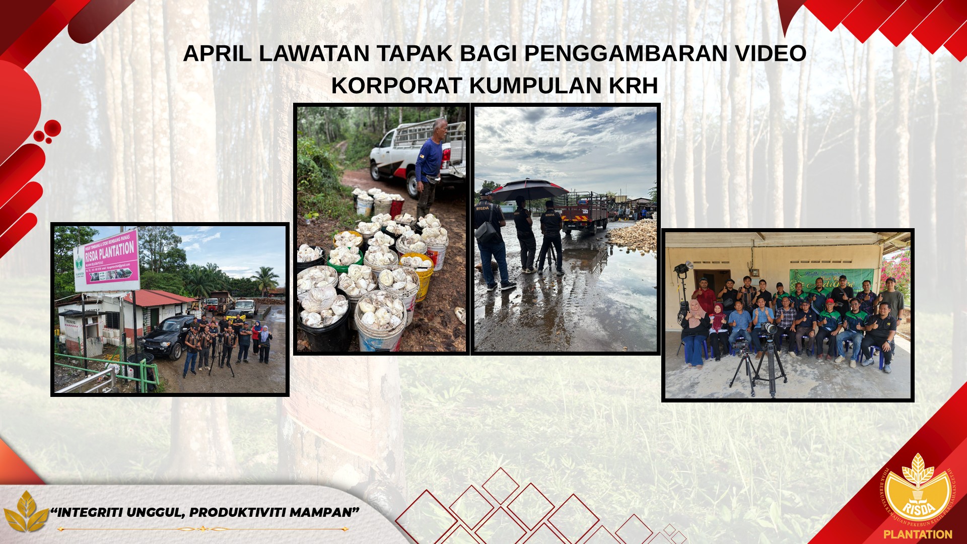 kelapa sawit10