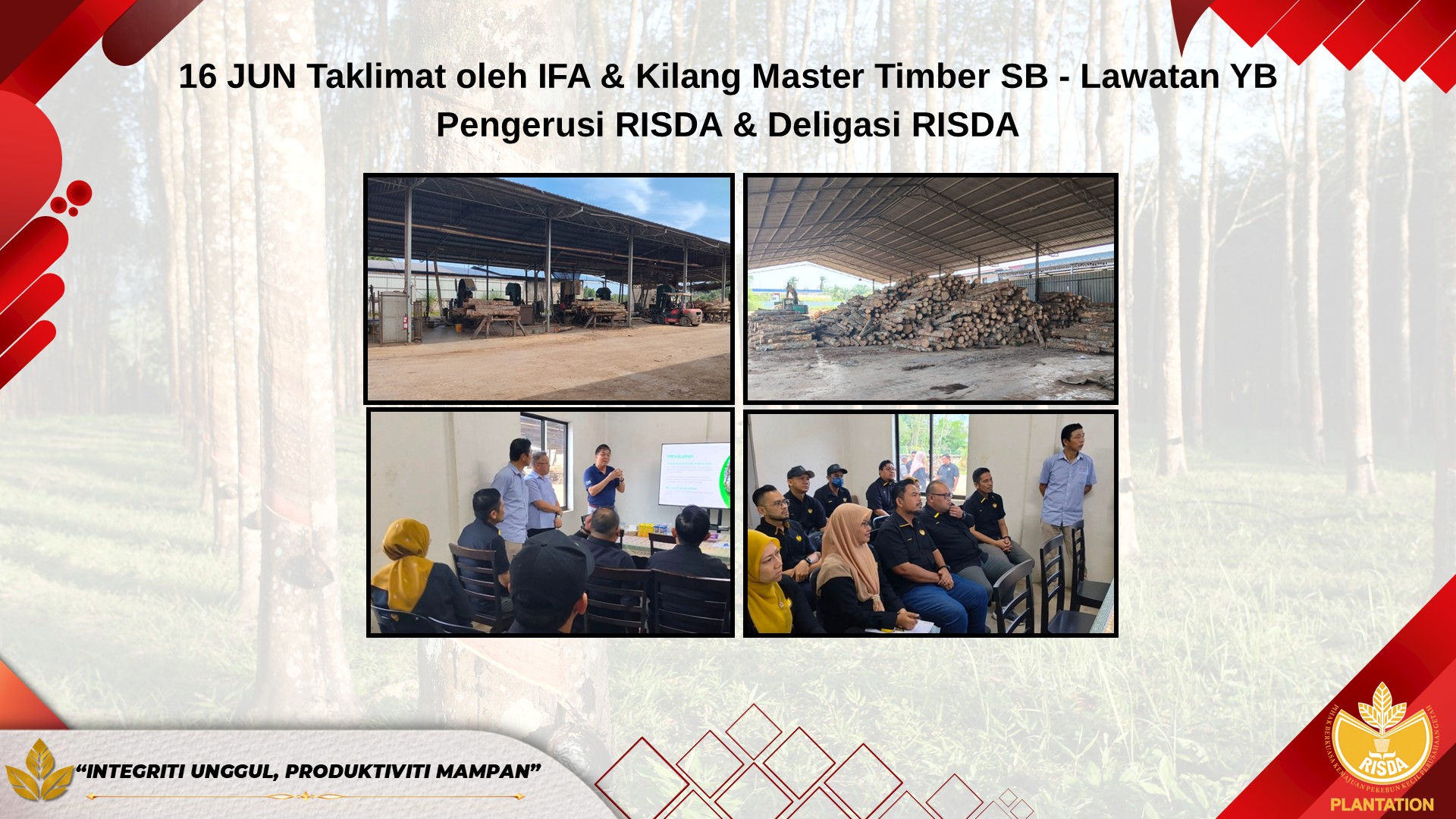 kelapa sawit13