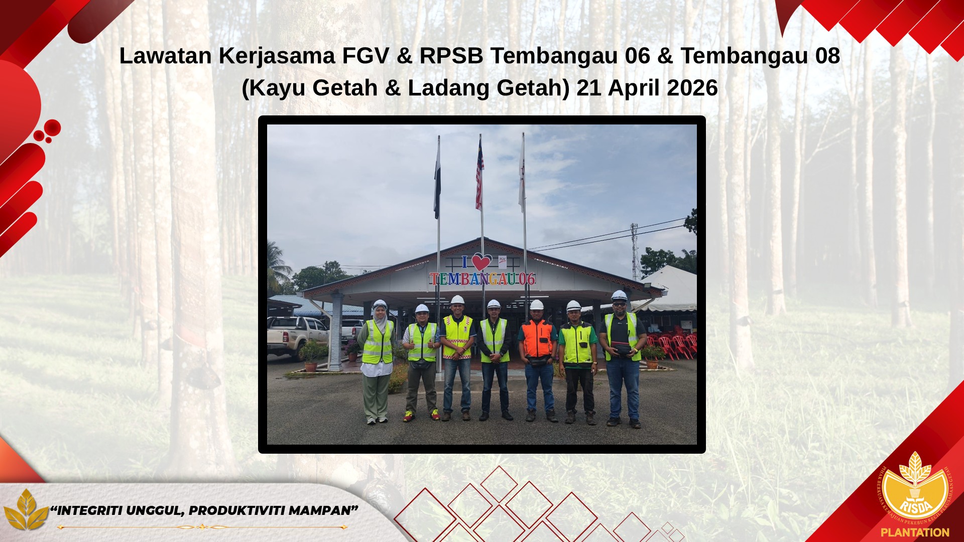 kelapa sawit6